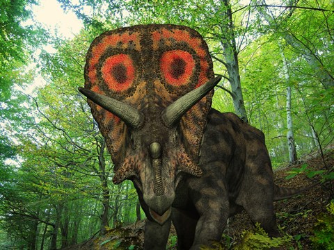 Framed Colorful Torosaurus Wanders a Cretaceous Forest Print