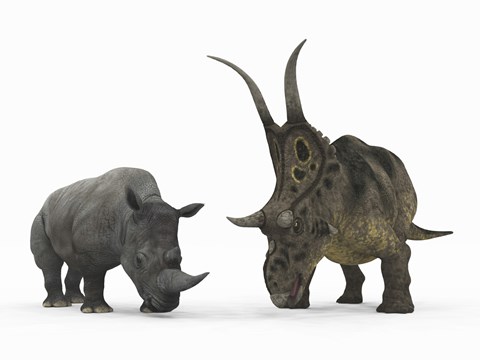 Framed Adult Diabloceratops Compared to a Modern adult White Rhinoceros Print