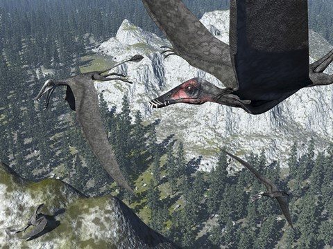 Framed Flock of Dorygnathus Print