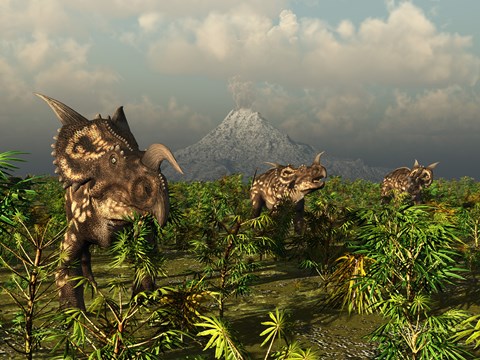 Framed Herd of Plant-Eating Einiosaurus Roam the Plains Print