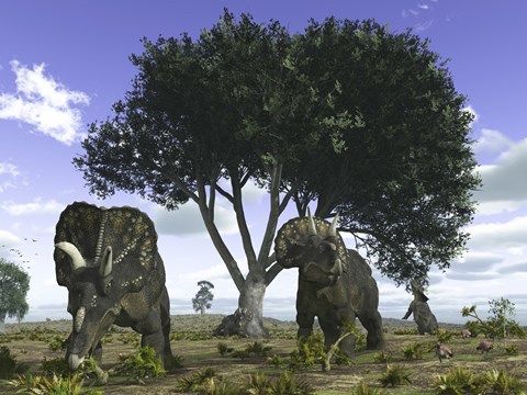 Framed Nedoceratops Graze Beneath a Giant Oak Tree Print