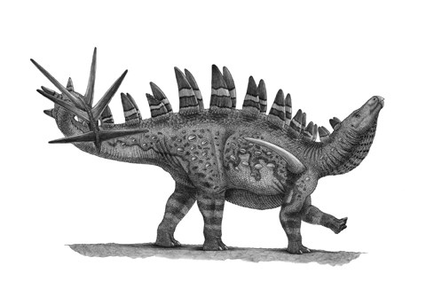 Framed Pencil Drawing of Chungkingosaurus Jiangbeiensis Print