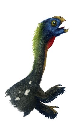 Framed Watercolor Portrait of Ajancingenia Yanshini Print