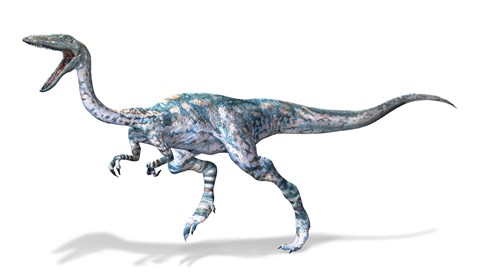 Framed 3D Rendering of a Coelophysis Rinosaur Print