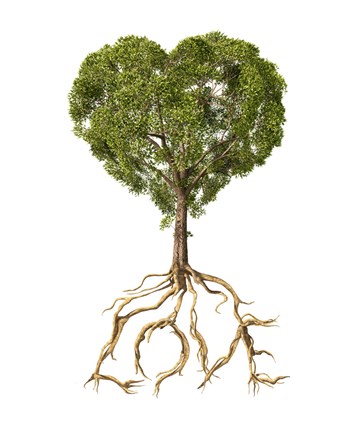 Framed Tree with Foliage in the Shape of a Heart Print