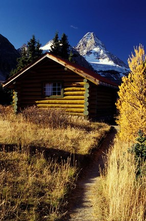 Framed British Columbia, Mount Assiniboine, Log cabin Print