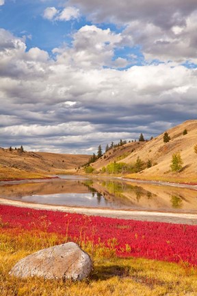 Framed Grassland landscape, Lac Du Bois Grasslands Park, Kamloops, BC, Canada Print