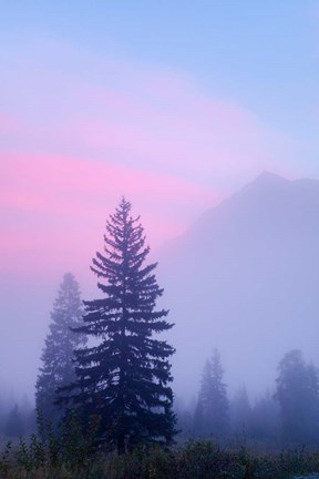 Framed Canada, British Columbia, Mount Robson Park Foggy sunrise Print