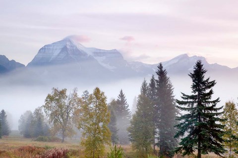 Framed Canada, British Columbia, Mount Robson Park Sunrise on mountain Print