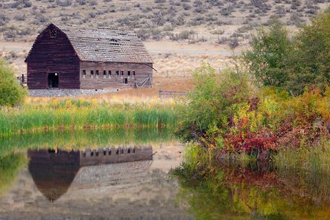 Framed Haynes Ranch Buildings Preservation Project, Osoyoos, BC, Canada Print