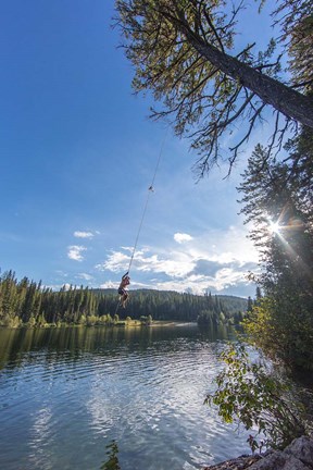 Framed Rope swinging at Champion Lakes Provincial Park, BC, Canada Print
