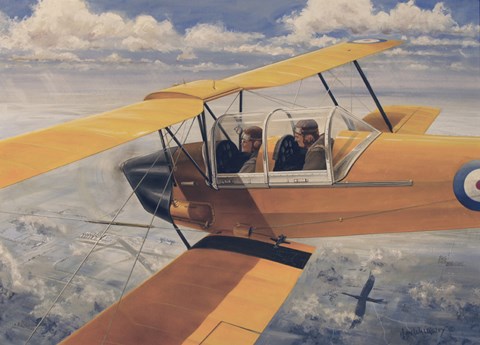 Framed De Havilland DH82 Tiger Moth basic Trainer Biplane from the 1930&#39;s Print