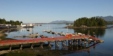 Framed Dock and harbor, Tofino, Vancouver Island, British Columbia Print