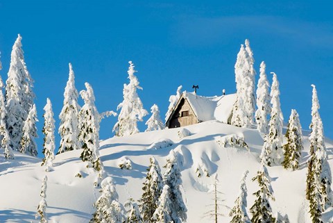 Framed Mountain cabin, Seymour Mountain, British Columbia Print
