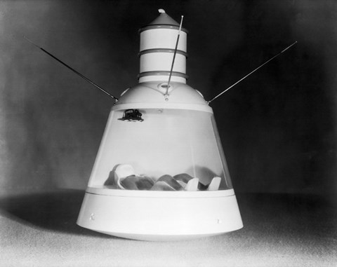 Framed Model of Space Capsule Print