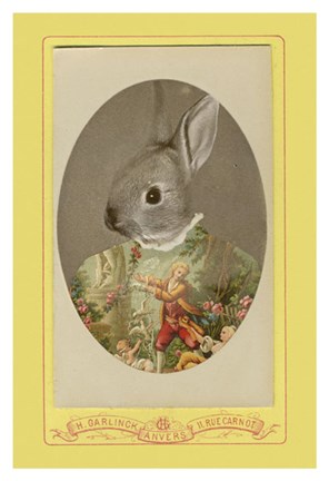 Framed Josephine Print