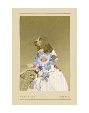 Framed Constance Print