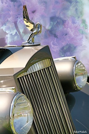 Framed 1930's Packard Grill Print