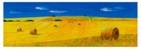 Framed Boundless Horizons 1 Print