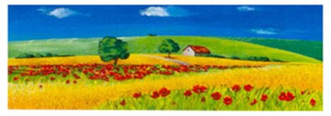 Framed Boundless Horizons 2 Print