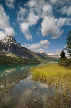 Framed Waterfowl lake, Icefields parkway, Banff NP, Canada Print