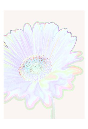 Framed Zen Bloom Print
