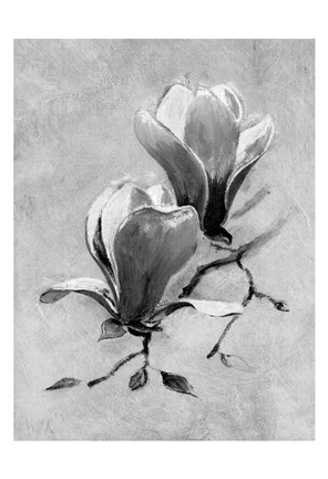 Framed Suspended in Time 2 Print