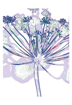 Framed Violet Zen 1 Print