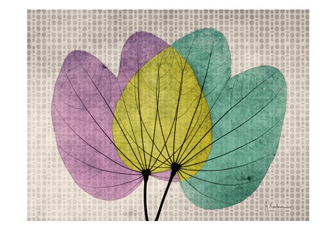 Framed SoHo Orchid 1 Print