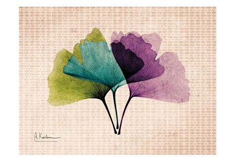 Framed SoHo Ginko Print