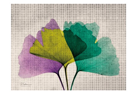 Framed SoHo Polka Ginkos Print