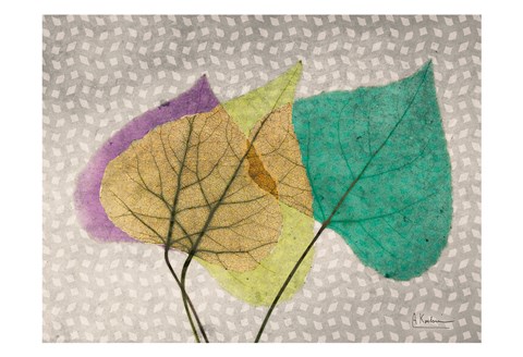 Framed SoHo Chevron Aspen Print