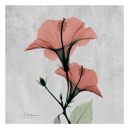 Framed Hibiscus Marsala Print