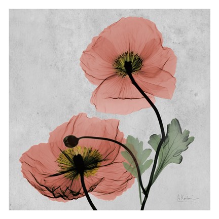 Framed Iceland Marsala 1 Print