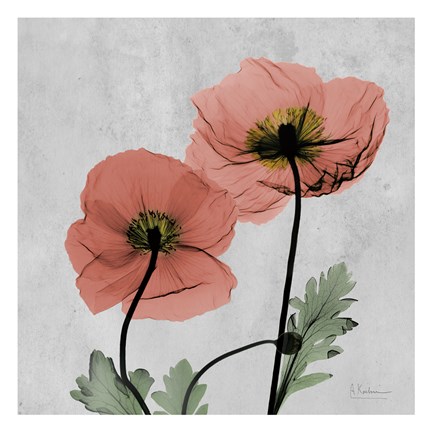 Framed Iceland Marsala 2 Print