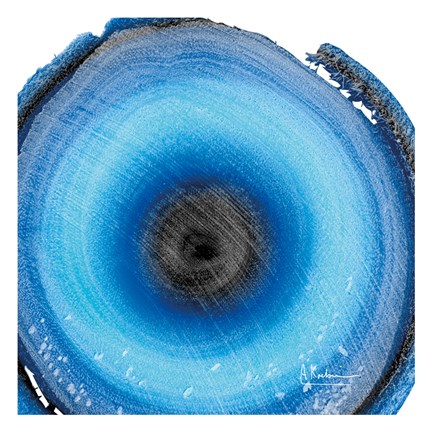 Framed Mineral Rings 4 Print