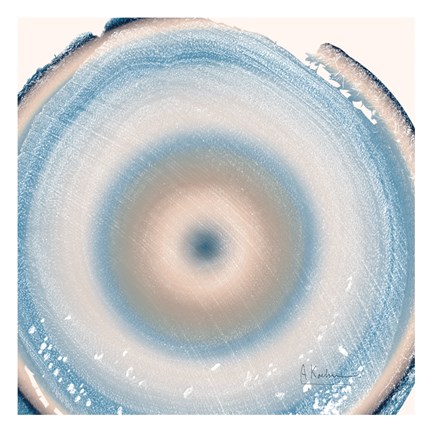 Framed Mineral Rings 5 Print