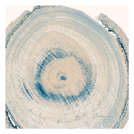 Framed Mineral Rings 6 Print