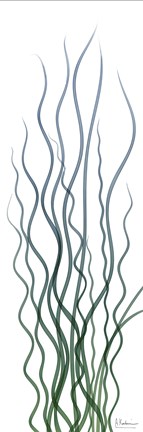 Framed Corkscrew Rush 1 Print