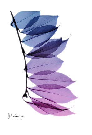 Framed Camelia Leaf In Purple Print