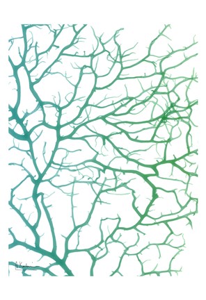 Framed Black Sea Fan Print