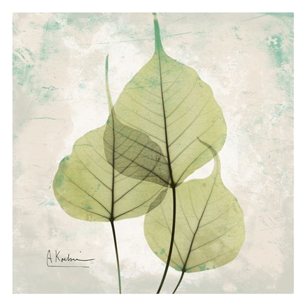 Framed Aged Stone Print