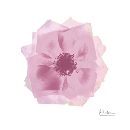 Framed Rose Petals Print