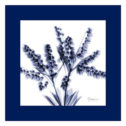 Framed Lily of the valley bush Bordered Print