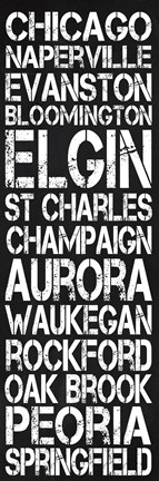 Framed Illinois Print