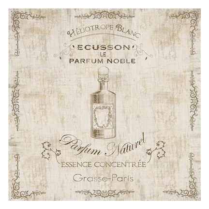 Framed Vintage Essence Print