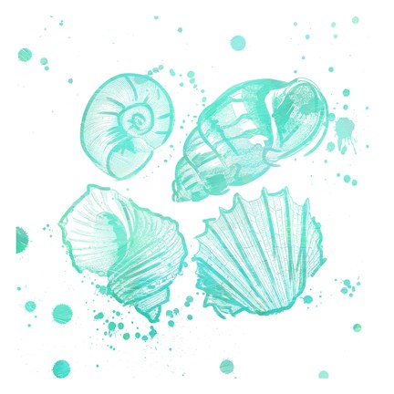 Framed Splat Shells II Print