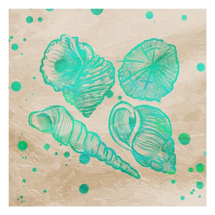 Framed Splat Shells on Sand I Print
