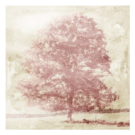 Framed Marsala Tree (close-up) Print