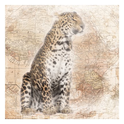 Framed African Animals - Leopard Print